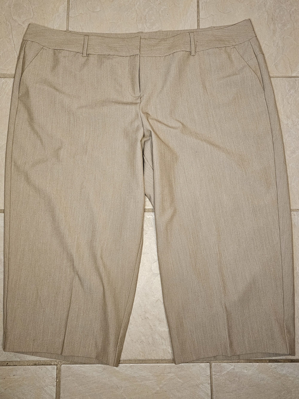 Worthington Modern Fit Beige Cropped Dress Capris Size 22W
